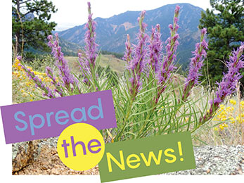 Church Newsletter Photo of purple flower and mountains with Spread the news capture