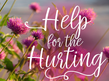 Church Newsletter Photo of pink flowers with Help for the Hurting caption