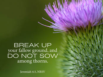 Church Newsletter Powerpoint flower image with green background and Jeremiah 4:5 scripture reference caption
