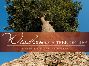 Church Newsletter Powerpoint Photo of tree with Wisdom a Tree of Life A study of the proverbs caption