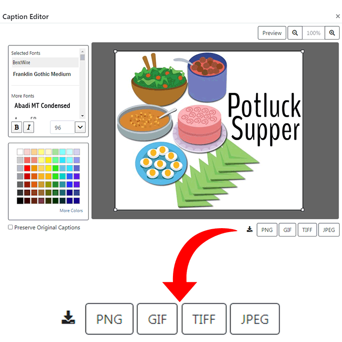 Example of file format types with caption editor
