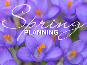 Church Newsletter photo of purple flowers with Spring planning caption